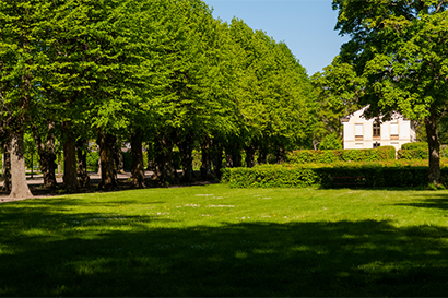 Tullgarn slottspark Kungliga promenader Kungliga slotten